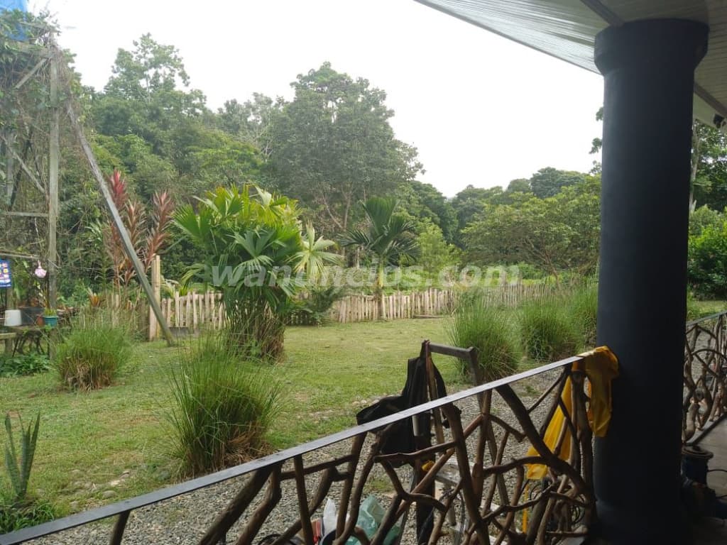 490.000 US$ - Eco retreat Dream Manzanillo Limon Talamanca (Manzanillo limon talamanca) 3