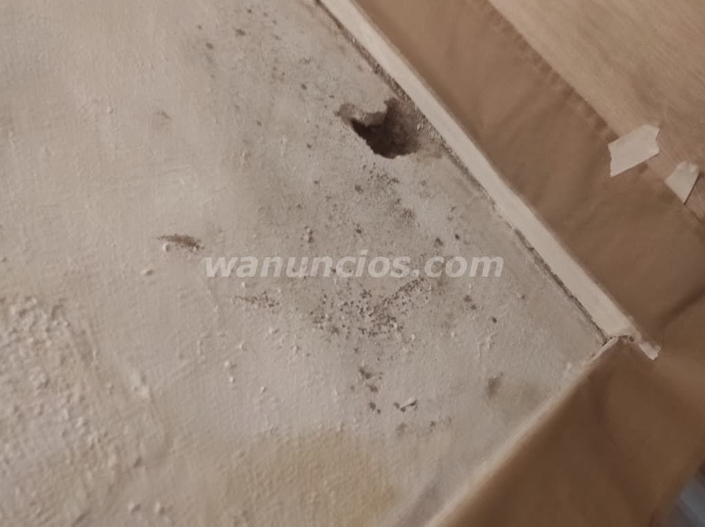 Fontanería y reparaciones de fugas de agua (Todas) 3