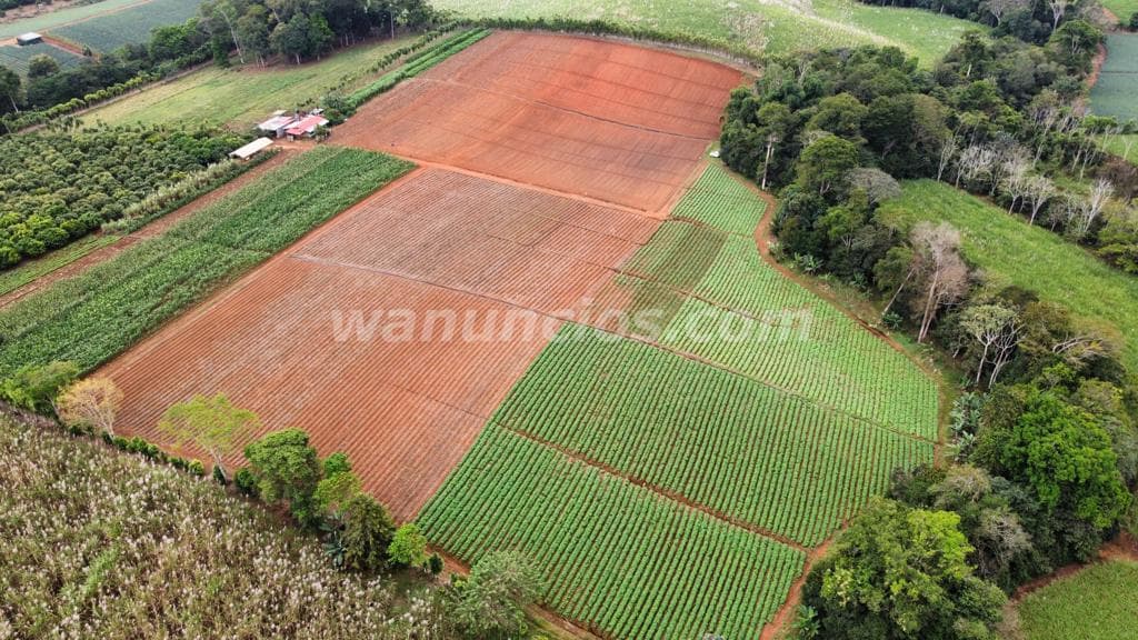 EN VENTA FINCA AGROINDUSTRIAL COSTA RICA