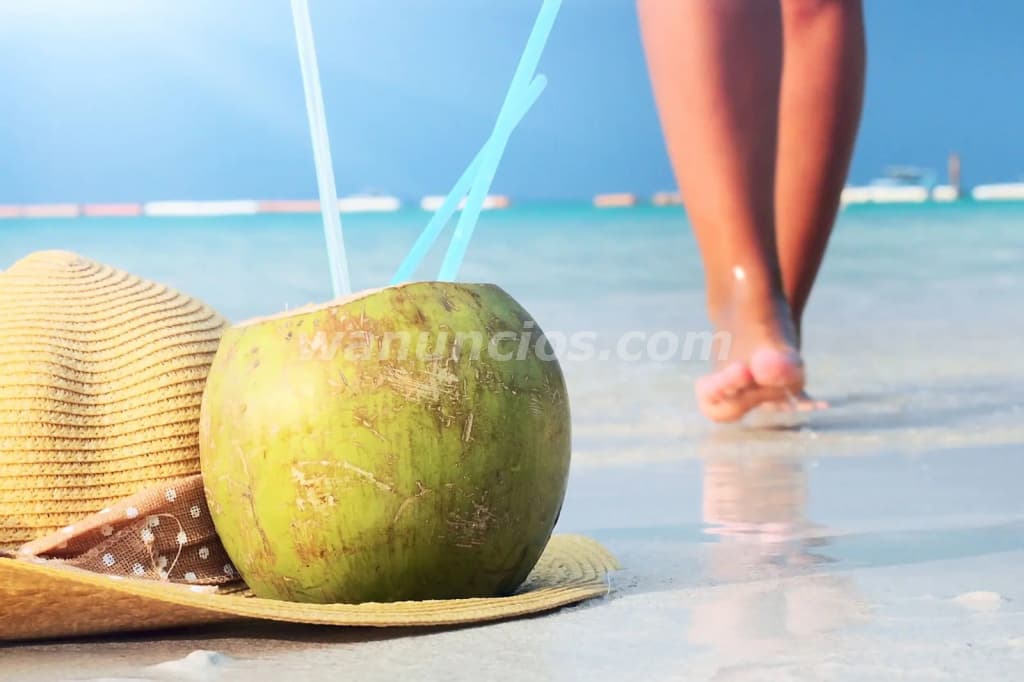 290.000 US$ - Ya tienes tu ticket para viajar a Republica Dominicana? (Todo el pais)