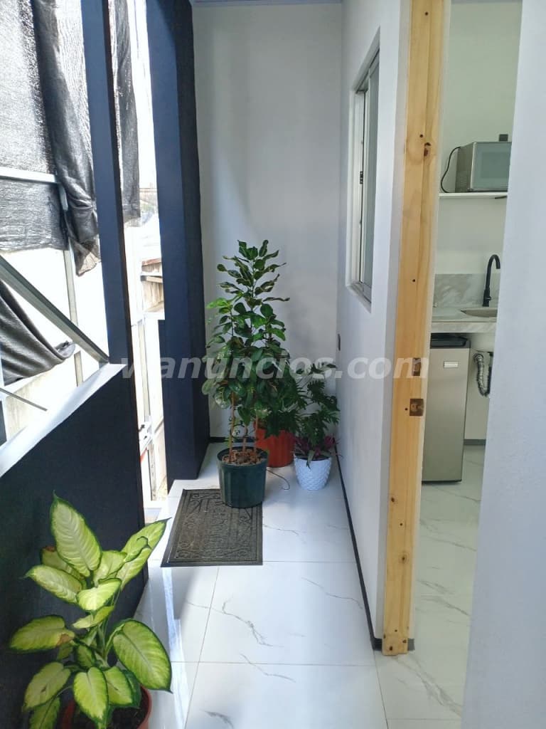 215.000 Colones - Se alquila mini apartamento para 1 persona amoblado y con servicios (San Pedro de 