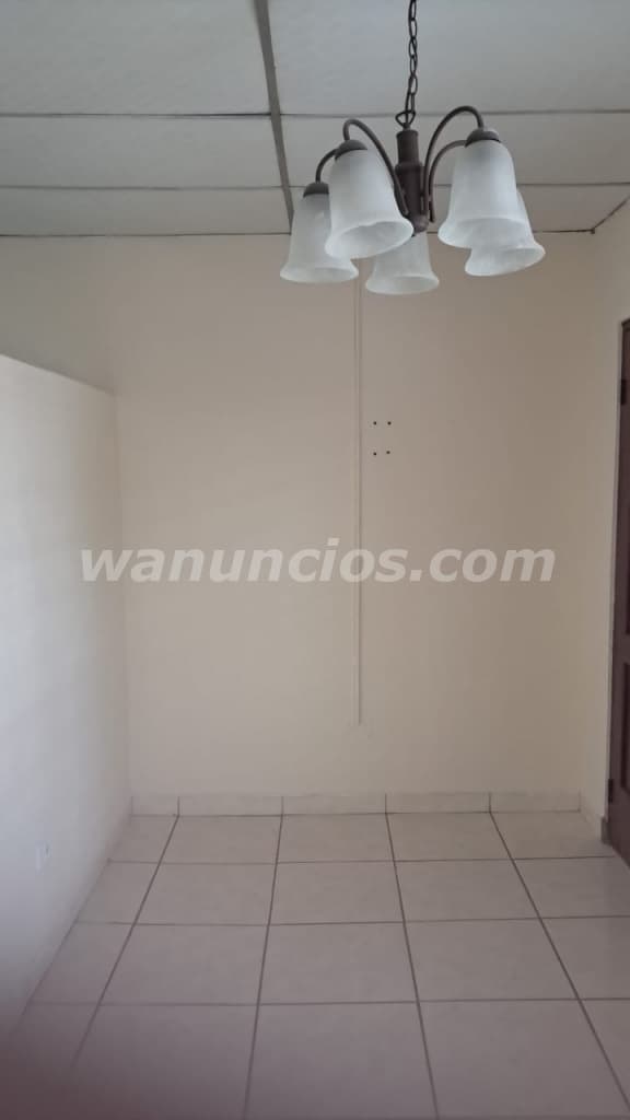 260 US$ - Alquiler de apartamento en Doleguita, David (David) 5