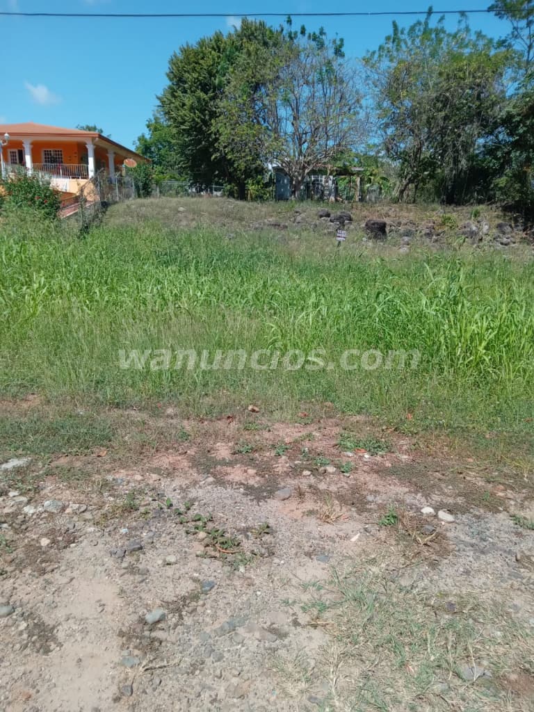 55.000 US$ - Venta de terreno en Gorgona a 5 minutos de la playa (Rural) 2
