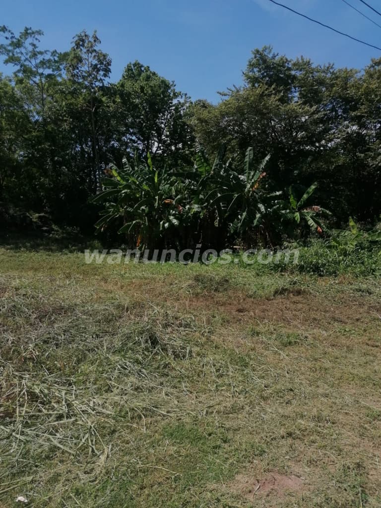 55.000 US$ - Venta de terreno en Gorgona a 5 minutos de la playa (Rural) 3