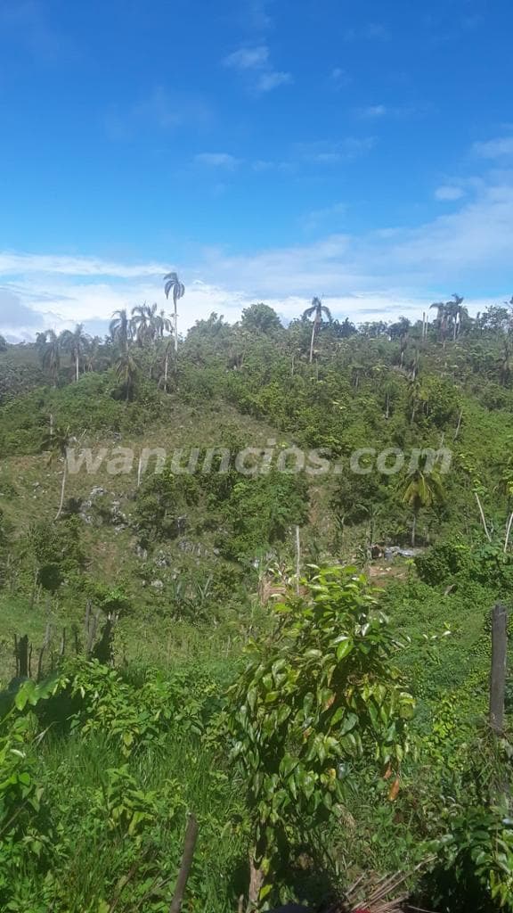 40 US$ - Se Vende hermoso Terreno en Samaná, con vista al mar (Punta Balandra, Samana) 2