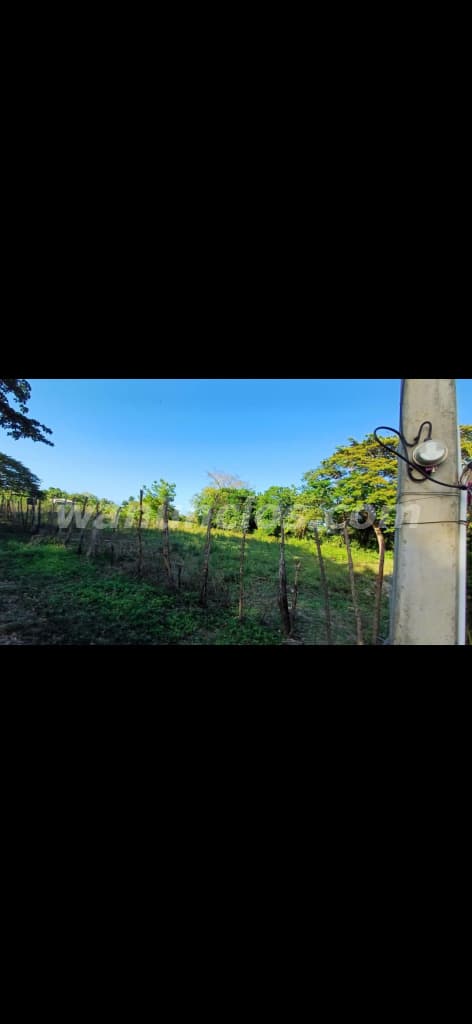 25.000 US$ - Magnifico solar de venta en Luperón, Puerto Plata. A unos 40 minutos del pueblo. 2