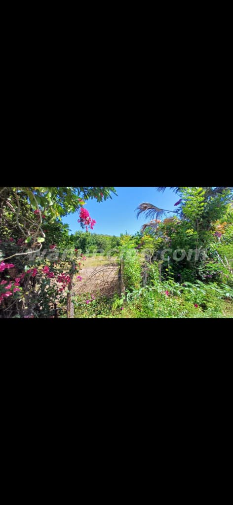 2.000 Pesos - Terreno de venta en Luperon de Puerto Plata, gran oportunidad de Inversión 3