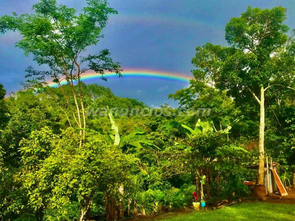 135.000.000 Colones - VENTA DE HERMOSO TERRENO EN PURISCAL, MERCEDES SUR (PURISCAL)