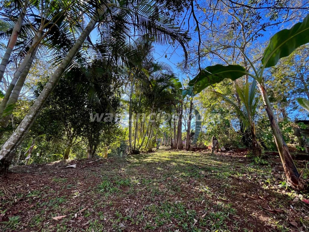 135.000.000 Colones - VENTA DE HERMOSO TERRENO EN PURISCAL, MERCEDES SUR (PURISCAL) 4