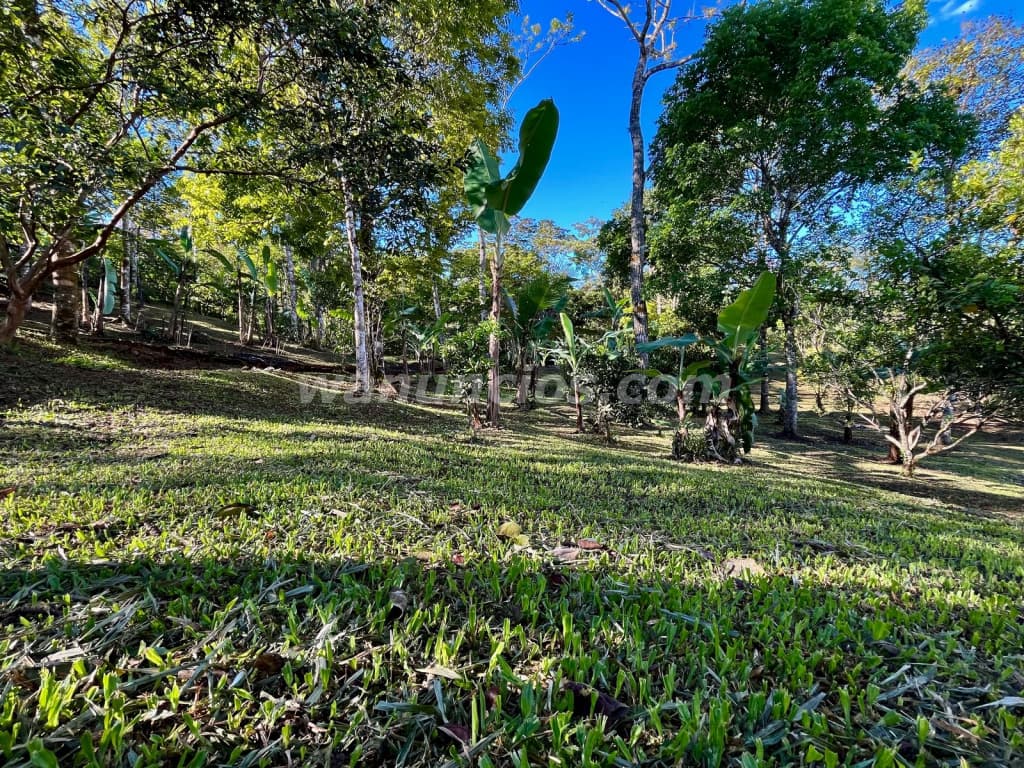135.000.000 Colones - VENTA DE HERMOSO TERRENO EN PURISCAL, MERCEDES SUR (PURISCAL) 5