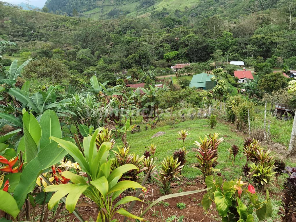 14.000.000 Colones - Terreno con 2 terrazas, muy lindo precio negociable urge vender (Dulce nombre) 2