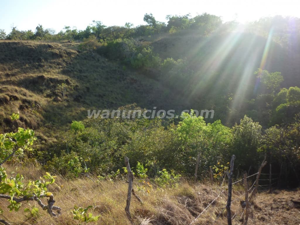 244.000 US$ - Se rematan 61Ha en Calobre Veraguas APROVECHE (El Cocla, Calobre)