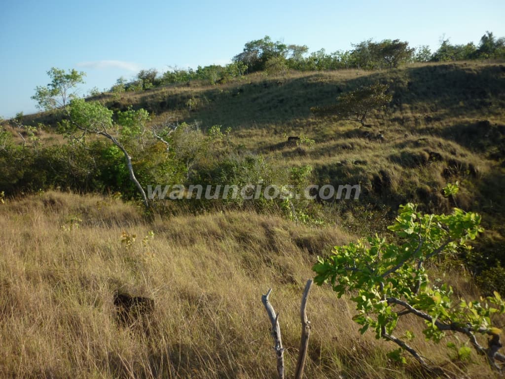 244.000 US$ - Se rematan 61Ha en Calobre Veraguas APROVECHE (El Cocla, Calobre) 2