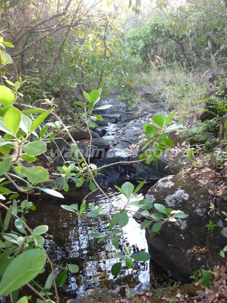 244.000 US$ - Se rematan 61Ha en Calobre Veraguas APROVECHE (El Cocla, Calobre) 3