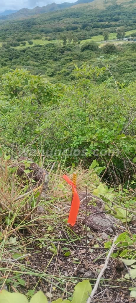 435.000 US$ - Se vende terreno en Río Grande La Arena por Ciruelito Penonome 3