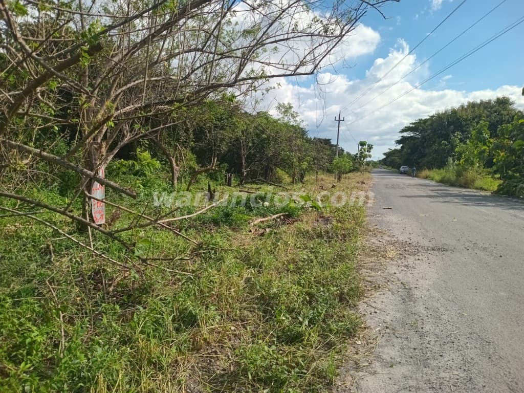 435.000 US$ - Se vende terreno en Río Grande La Arena por Ciruelito Penonome 4