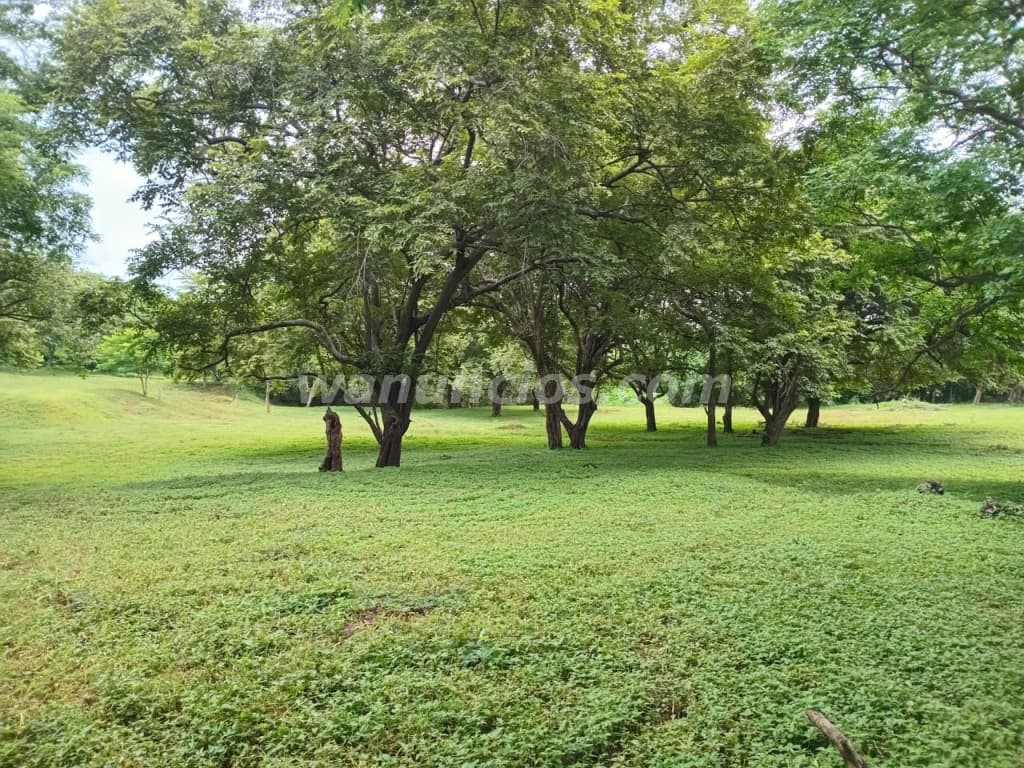 194.000 US$ - Se vende terreno en el jobo de La Cruz GTE (La Cruz)