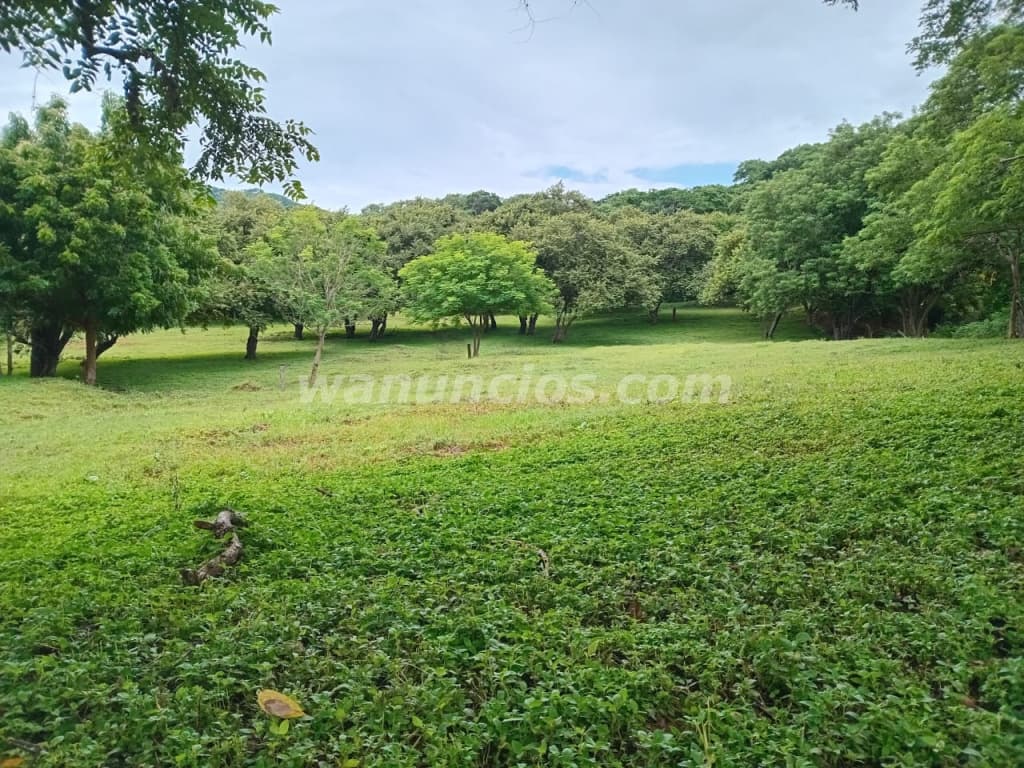 194.000 US$ - Se vende terreno en el jobo de La Cruz GTE (La Cruz) 2