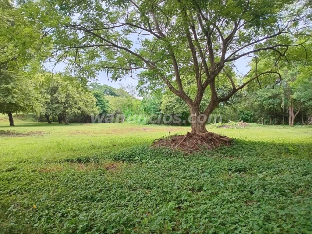 194.000 US$ - Se vende terreno en el jobo de La Cruz GTE (La Cruz) 3