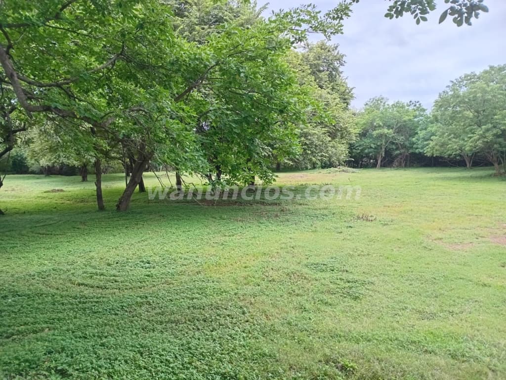 194.000 US$ - Se vende terreno en el jobo de La Cruz GTE (La Cruz) 4