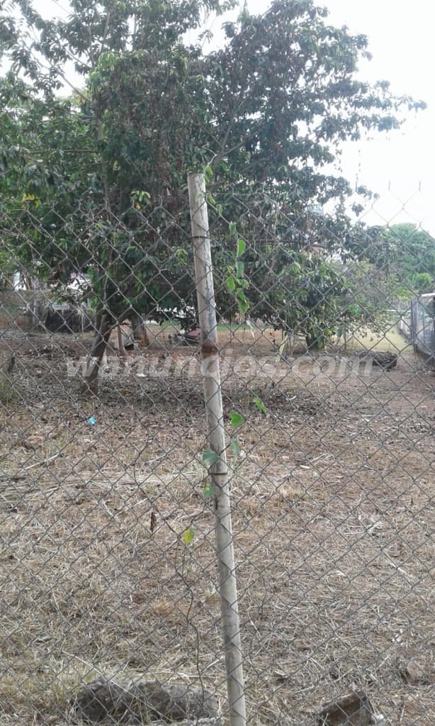 45.000 € - Se vende terreno en Vista Alegre de Arraijan (Vista Alegre Arraijan) 4
