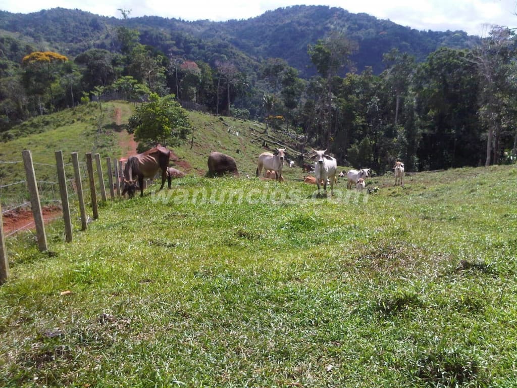 581.000 US$ - Se vende finca 166 hectareas full ganadera 3