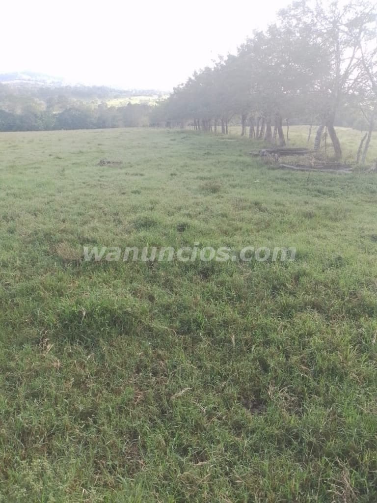 581.000 US$ - Se vende finca 166 hectareas full ganadera 4
