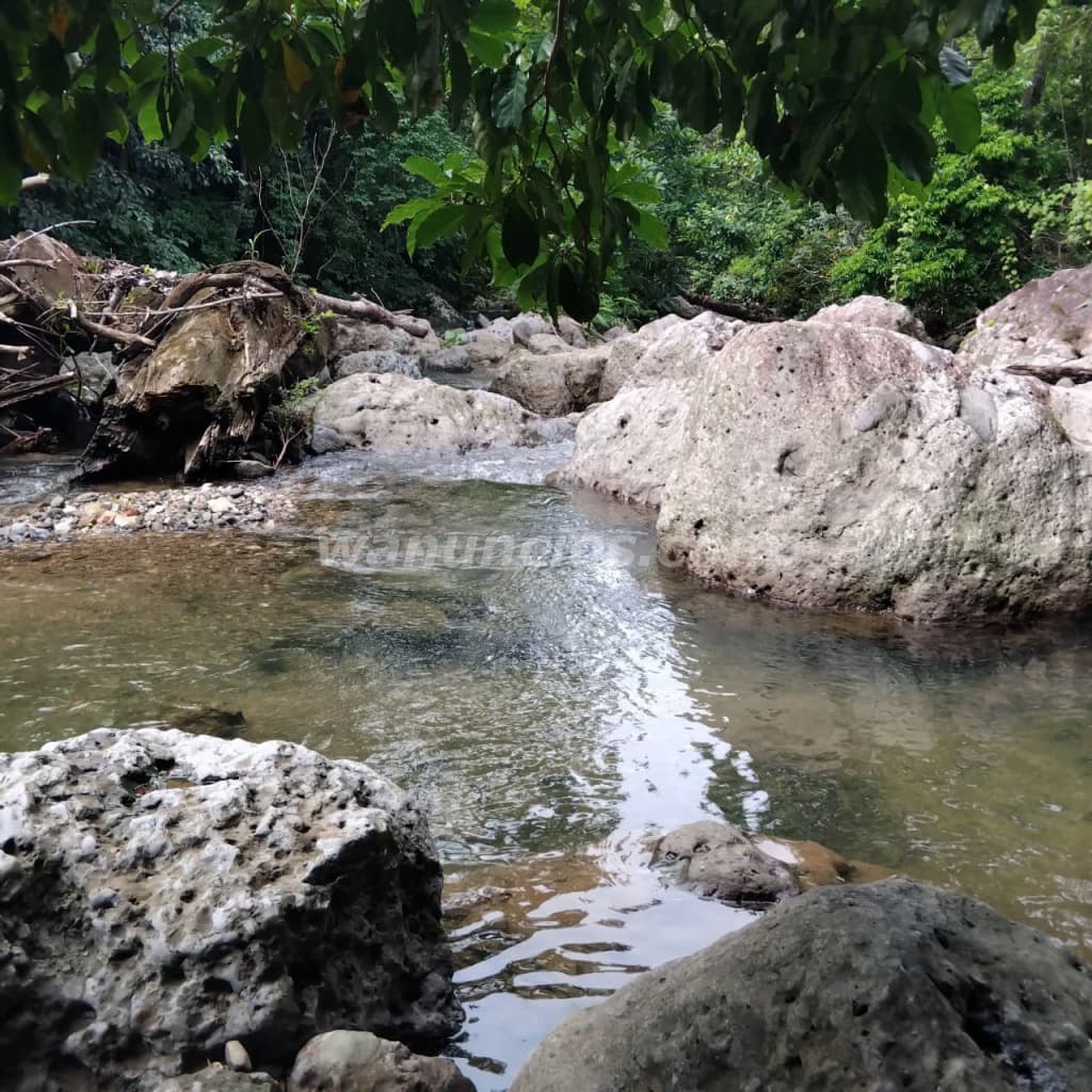 600.000 € - se vende finca de 100 hectareas full ganadera 2