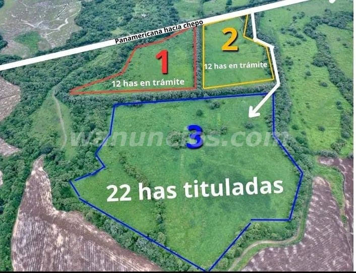 789.309 US$ - se vende fina de 22 hectareas por la via panamericana hacia chepo
