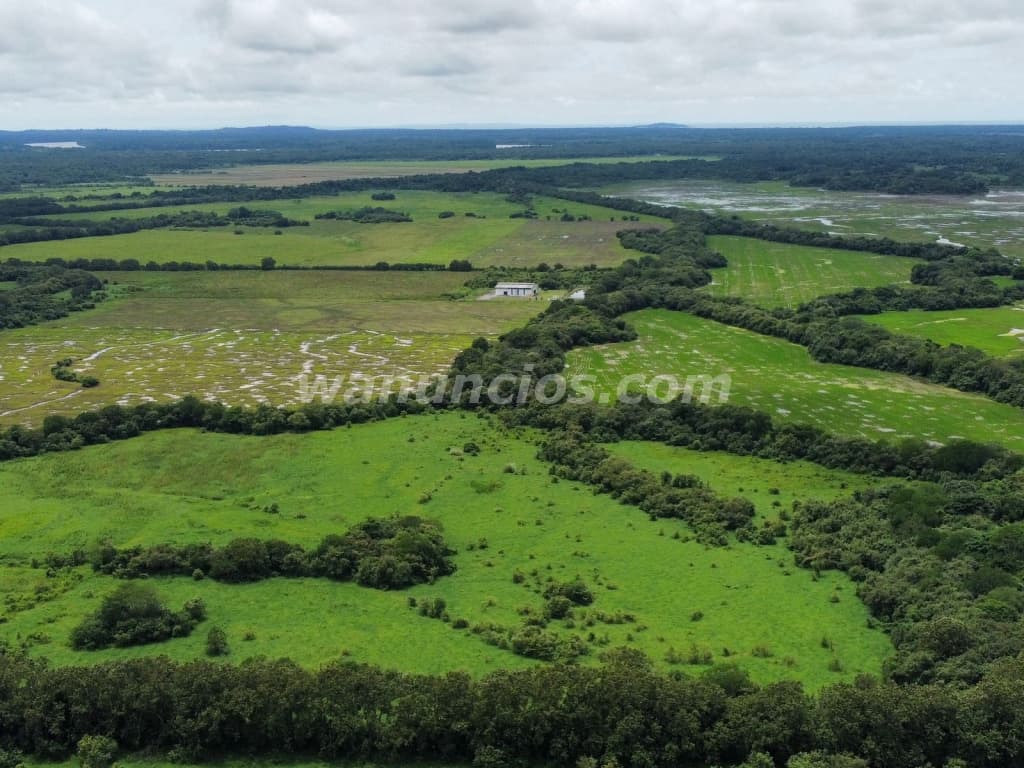 789.309 US$ - se vende fina de 22 hectareas por la via panamericana hacia chepo 2