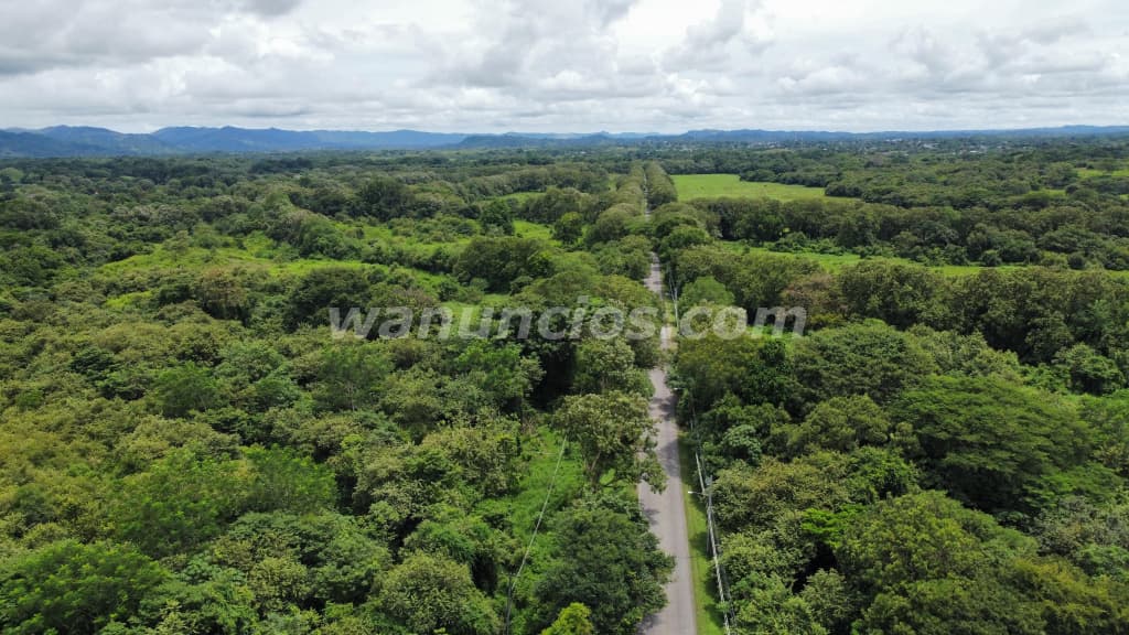 789.309 US$ - se vende fina de 22 hectareas por la via panamericana hacia chepo 3