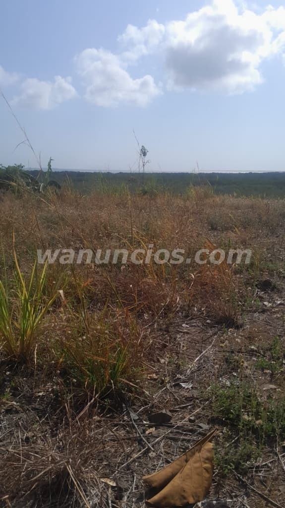 25.000 US$ - Se vende terreno por Punta Chame cerca de la playa caracol