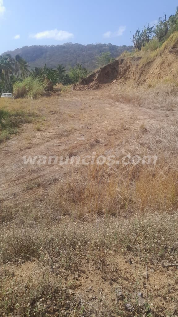 25.000 US$ - Se vende terreno por Punta Chame cerca de la playa caracol 2
