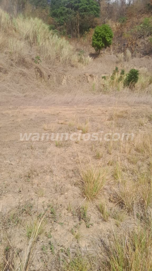 25.000 US$ - Se vende terreno por Punta Chame cerca de la playa caracol 3