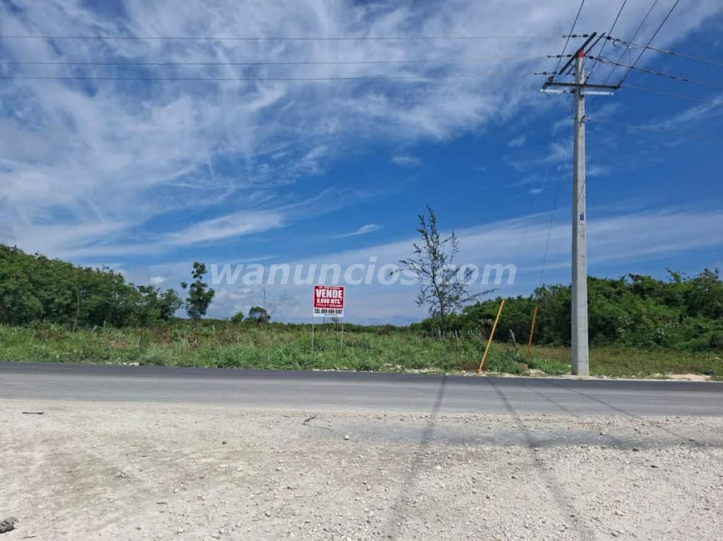 210 US$ - EL CORTECITO, BÁVARO - PUNTA CANA: TERRENO EN VENTA. (Punta Cana)