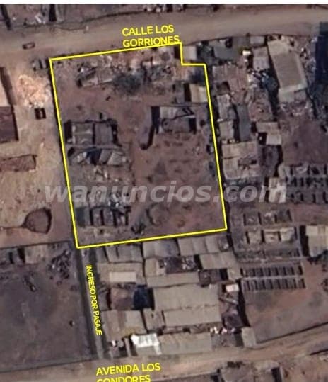 VENTA TERRENO RUSTICO ZONA AGROP. LOS LUCUMOS PACHACAMAC