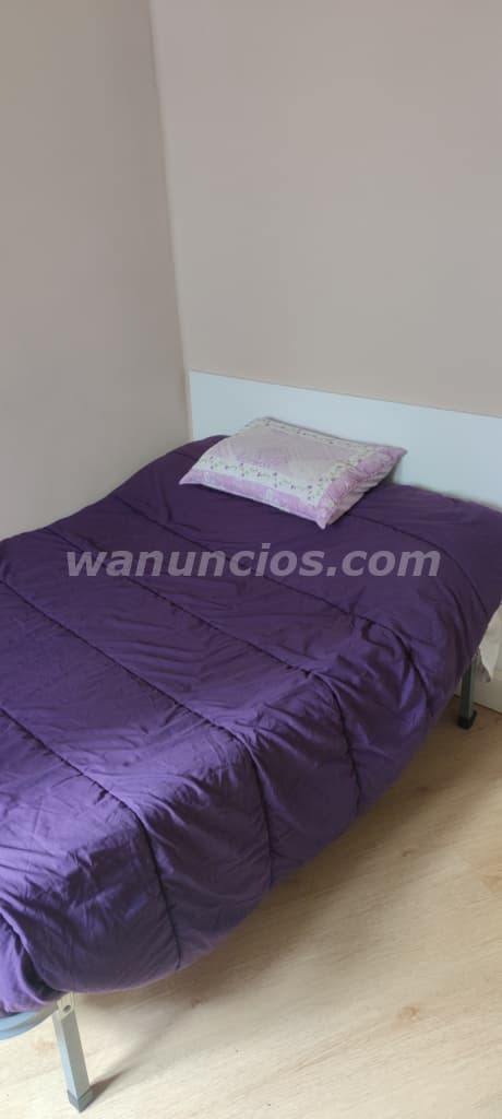 20 € - Se Alquila habitación, por días o por semana (Calle das Camelias, Orense)
