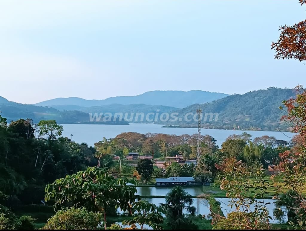 250.000 US$ - Oportunidad de inversion Peru -Tarapoto-Sauce (Sauce Tarapoto Perú) 2