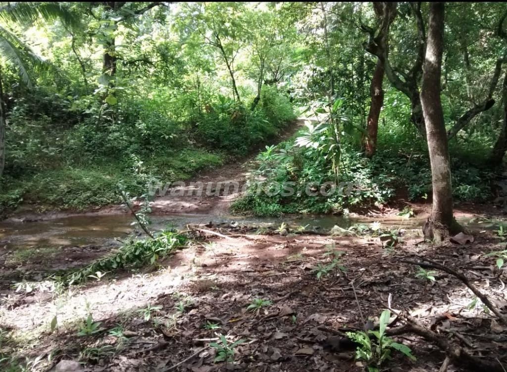 35.000 US$ - Se vende propiedad en Santiago de Veraguas (Rural) 2