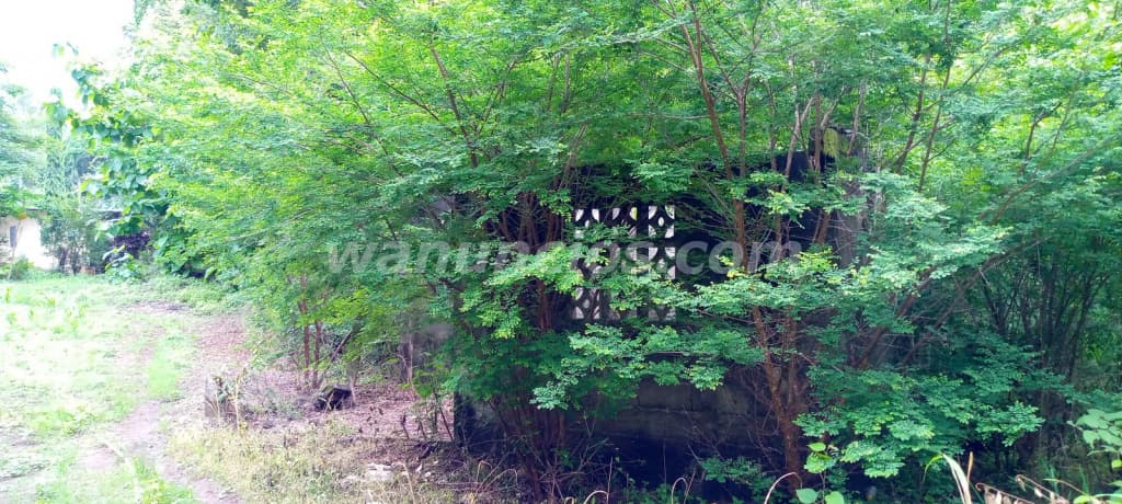 35.000 US$ - Se vende propiedad en Santiago de Veraguas (Rural) 3