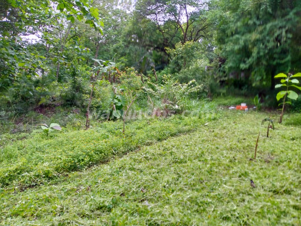 35.000 US$ - Se vende propiedad en Santiago de Veraguas (Rural) 4