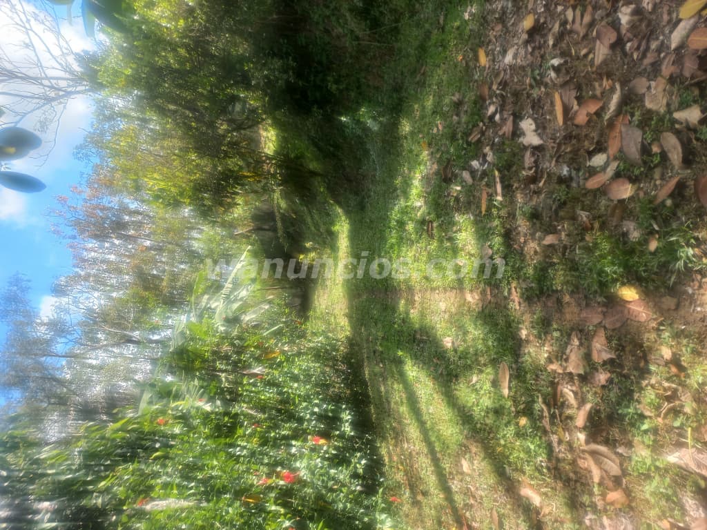 170.000 US$ - Pura vida dream rio negro cobano peninsula nicoya (Puntarenas rio negro cobano) 4