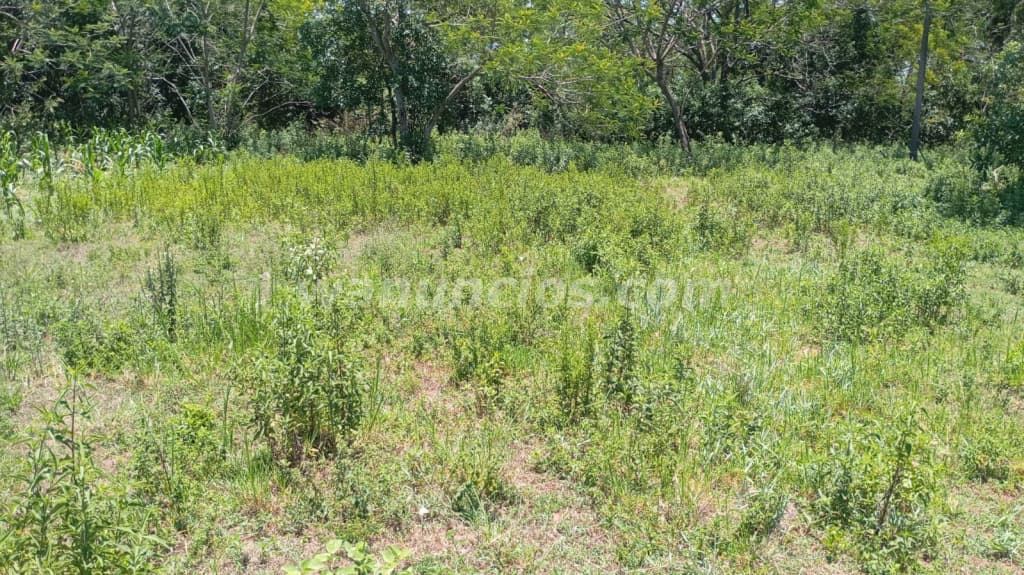 120.000.000 Guaranies - Terreno Titulado en Venta en Atyrá, Cordillera Perfecto para Tu Eco Hogar (A 3