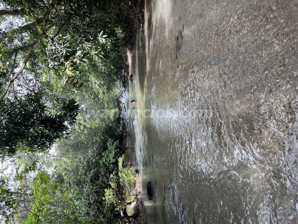 110.000 US$ - Terreno de 6,500 mt2 en vía al Valle con hermoso río (Vía el Valle de Anton) 2