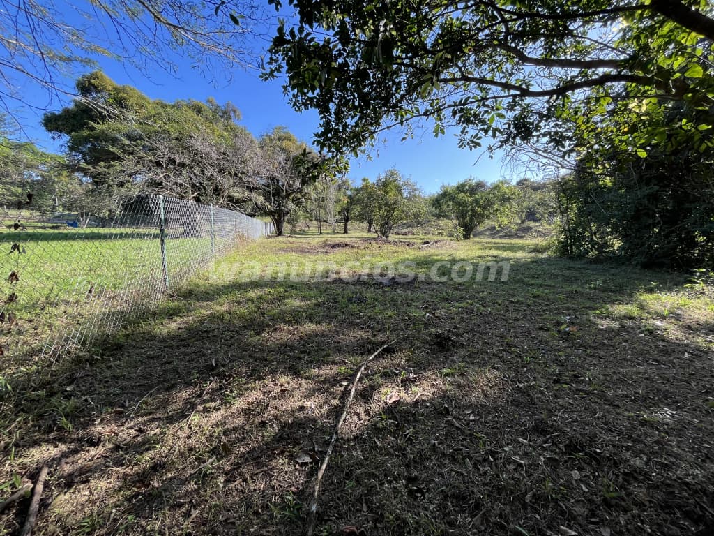 110.000 US$ - Terreno de 6,500 mt2 en vía al Valle con hermoso río (Vía el Valle de Anton) 3