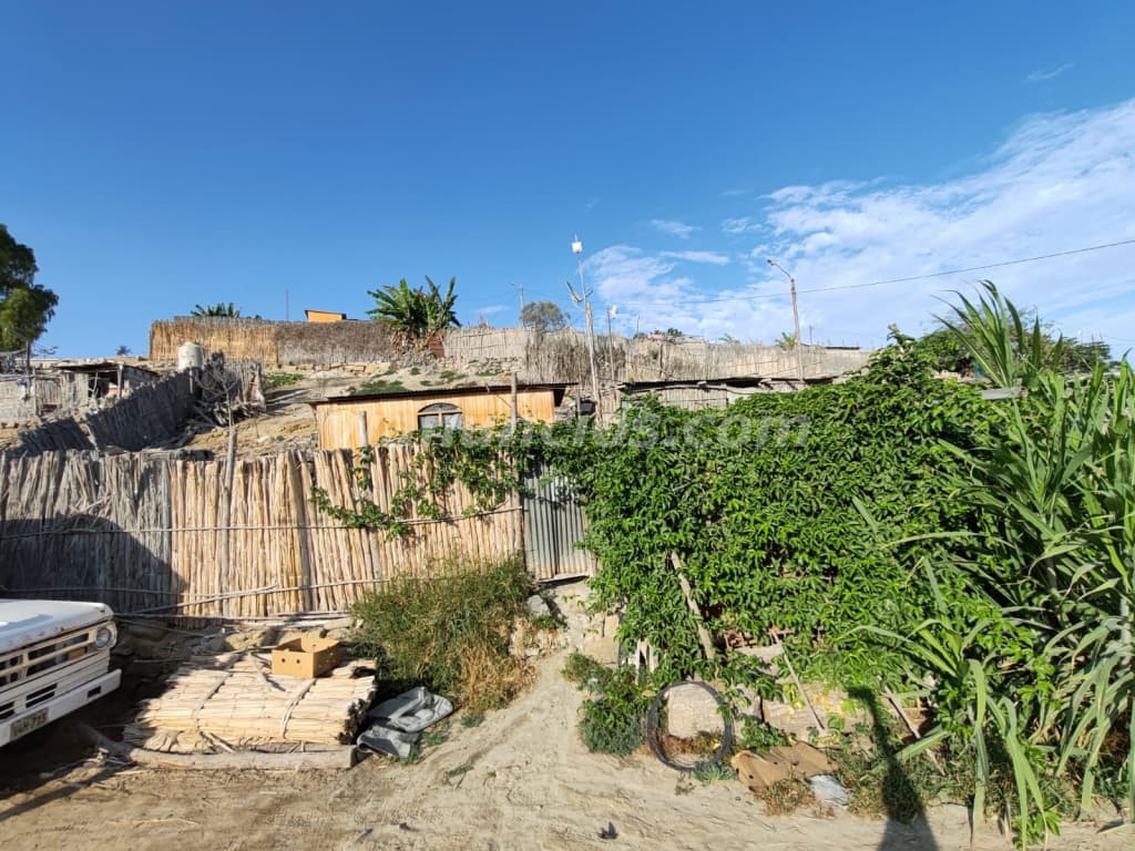 19.000 US$ - VENDO TERRENO CAMPESTRE EN EL SECTOR DEL PUENTE HUACAPUY - CAMANÁ - AREQUIPA (PUENTE HU 4