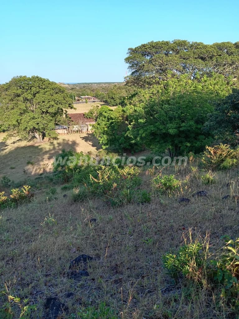 VENTA DE TERRENOS / LOTES /GUARARÉ , LOS SANTOS (LOS SANTOS, GUARARÉ)