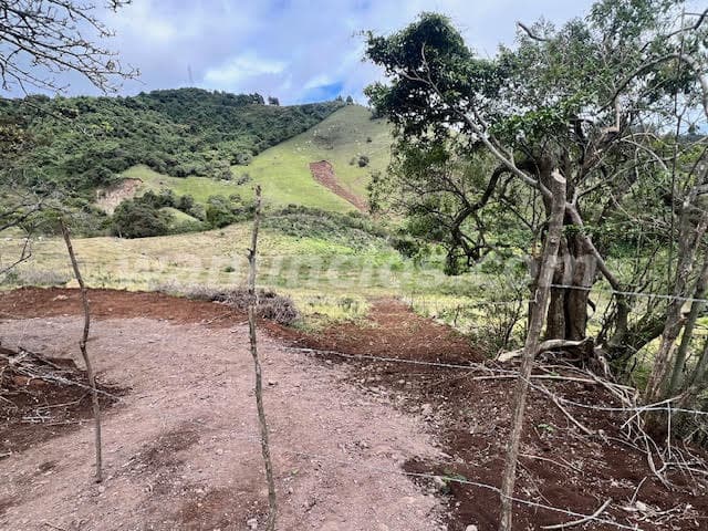 150.000 Colones - Alquiler de lote para la siembra en Cartago, Quircot (Cartago)