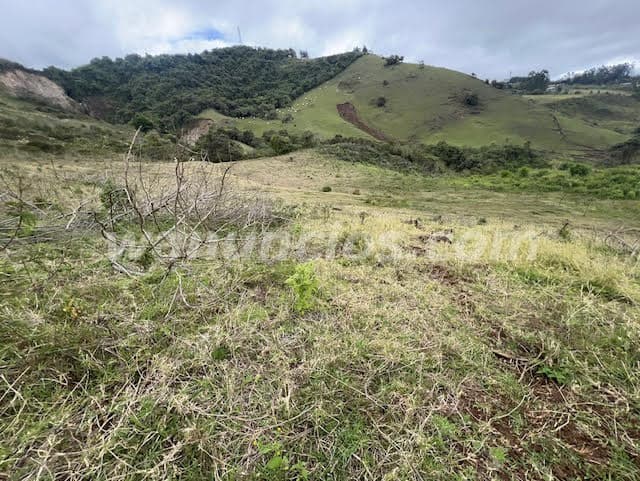 150.000 Colones - Alquiler de lote para la siembra en Cartago, Quircot (Cartago) 4