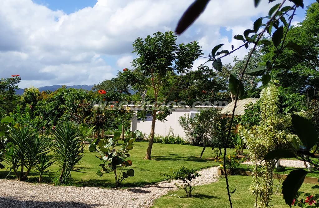 680.000 € - terreno urbanistico turiscico careteras miches (miches)